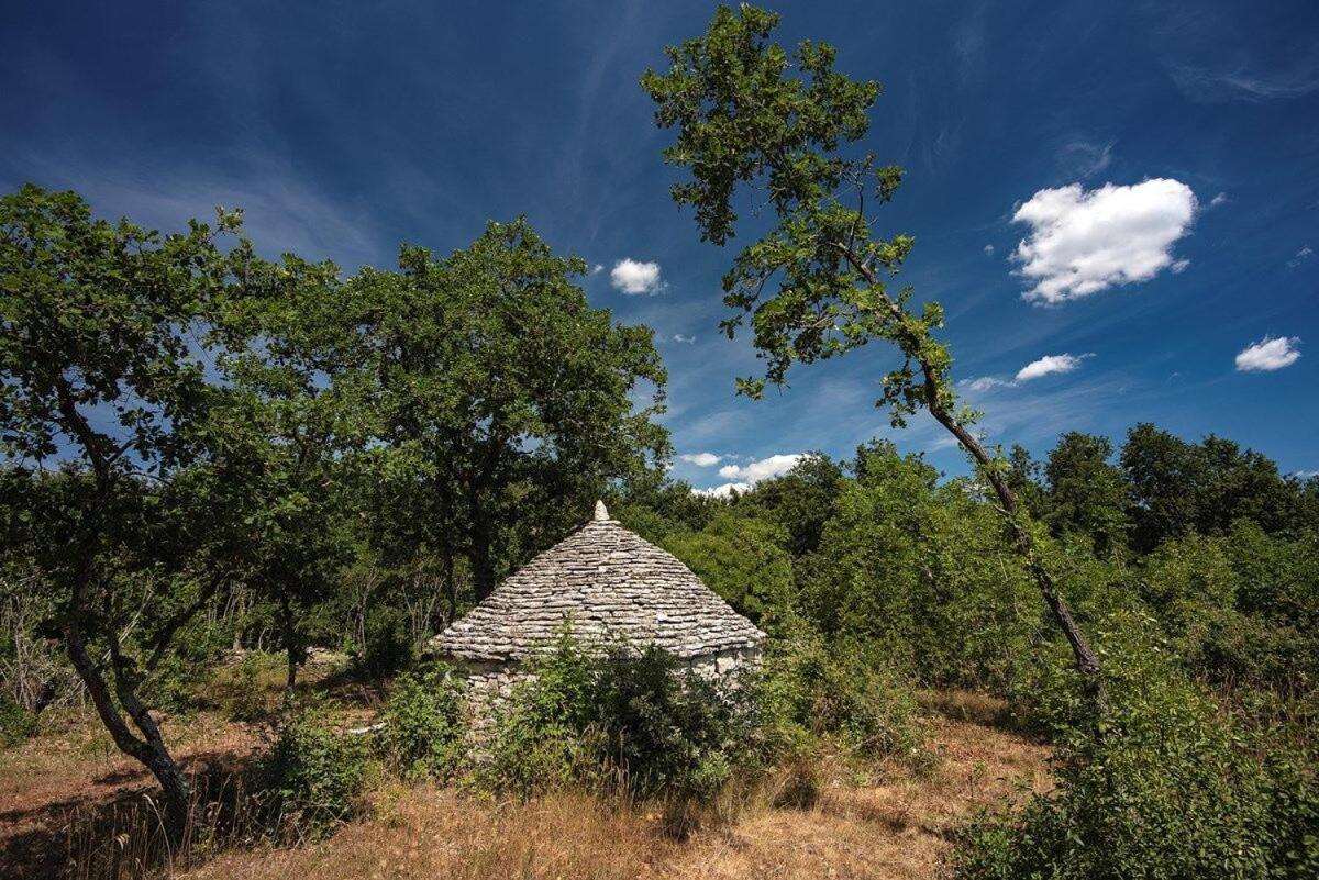 Villa Martinetinka فودنيان المظهر الخارجي الصورة