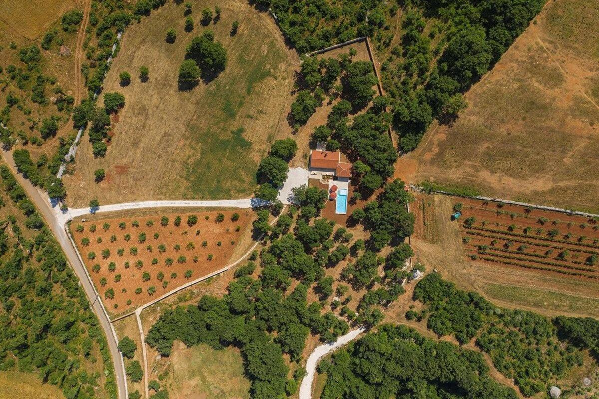 Villa Martinetinka فودنيان المظهر الخارجي الصورة