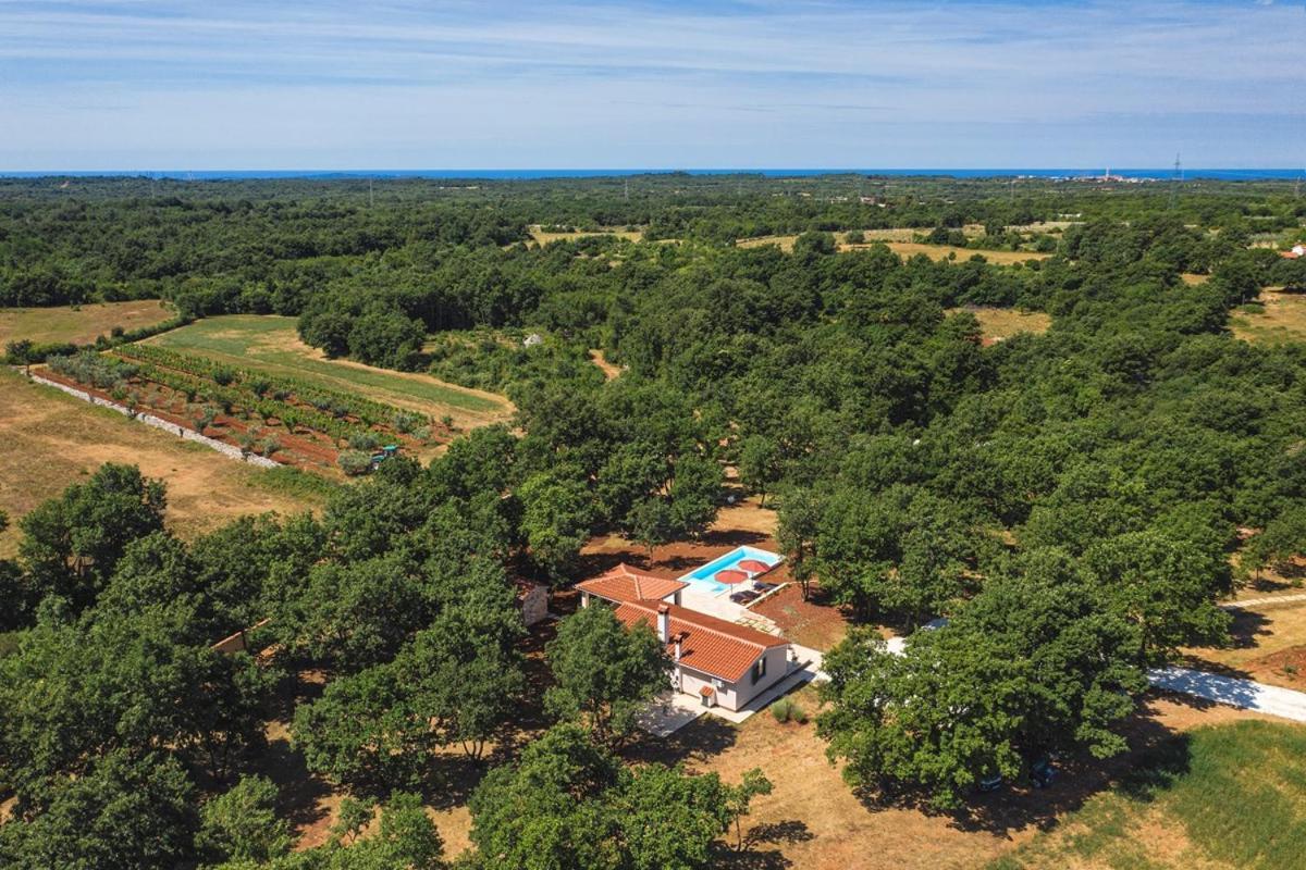Villa Martinetinka فودنيان المظهر الخارجي الصورة