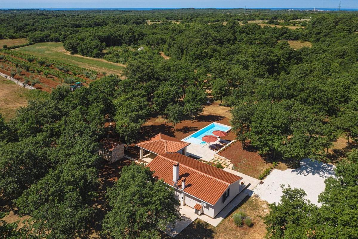 Villa Martinetinka فودنيان المظهر الخارجي الصورة